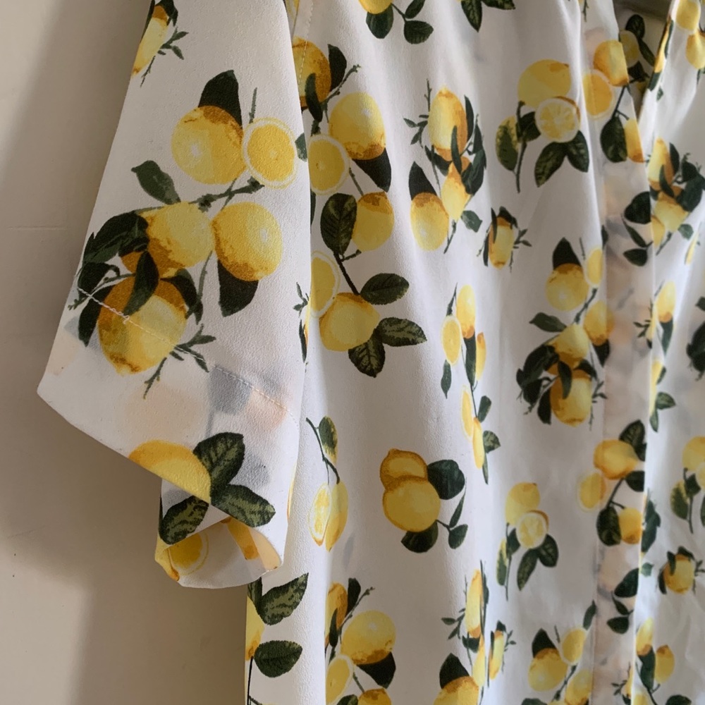 Dalia Lemon Print Sheer Blouse